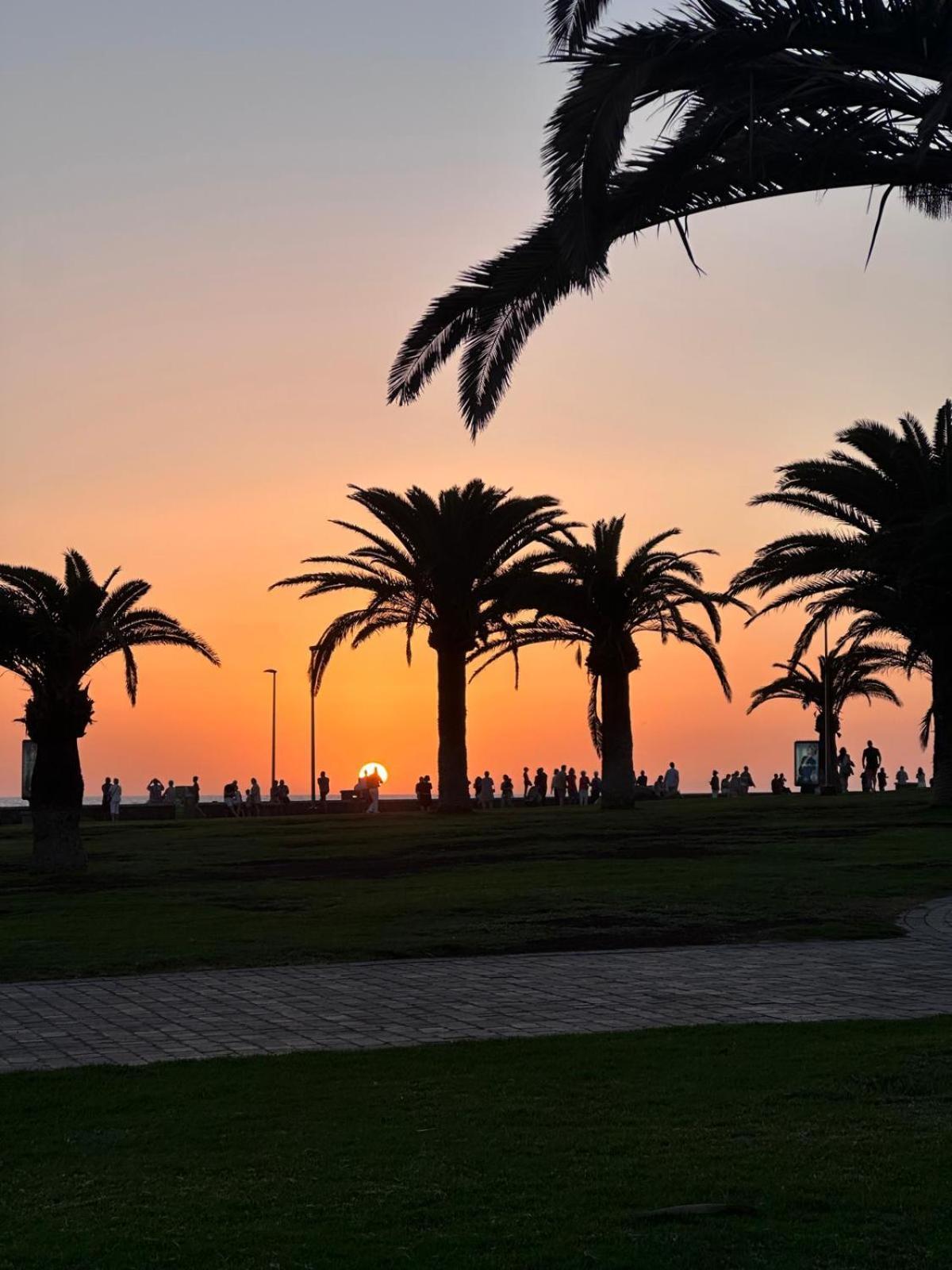Bungalow Oasis Canaria Maspalomas  Buitenkant foto