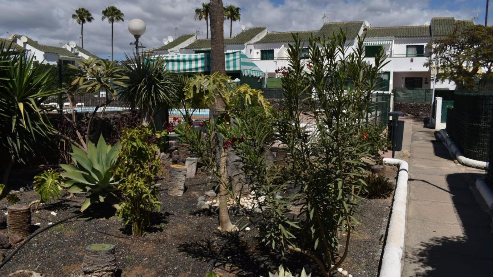 Bungalow Oasis Canaria Maspalomas  Buitenkant foto